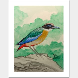 Blue-winged pitta on the rocks Posters and Art